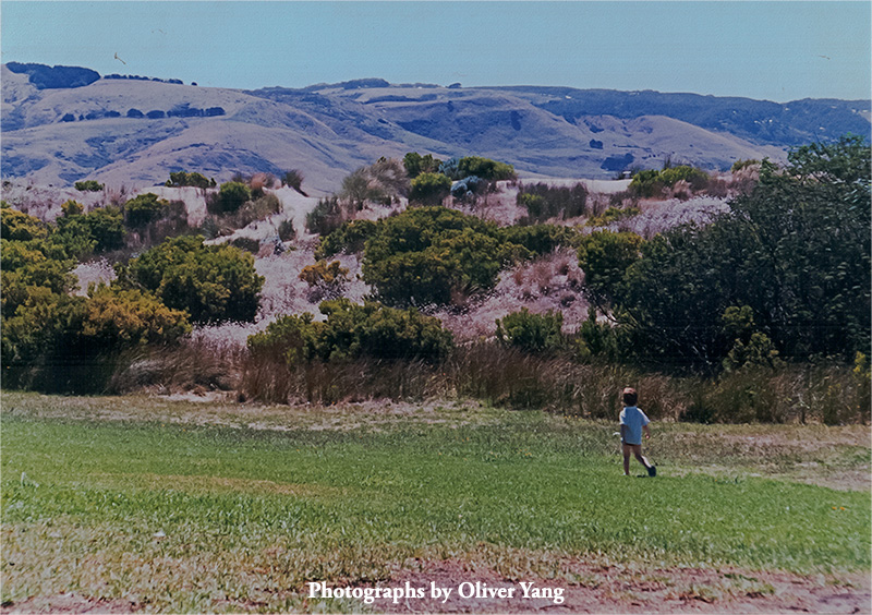 ��ɽһ���� �� ��ͷ(ʱ��ب�ţ��ľ�΢��)