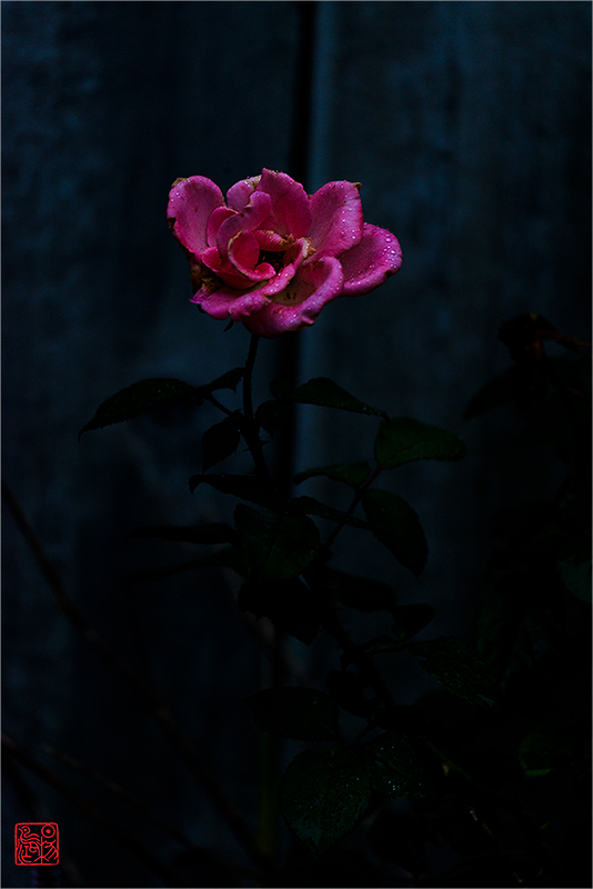 �佭�ϡ���ͷ�������õ�壩