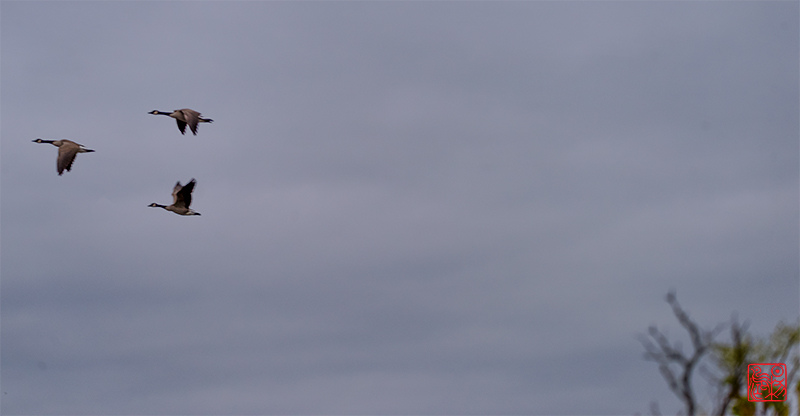 ʮ�������ͷ��������֣�