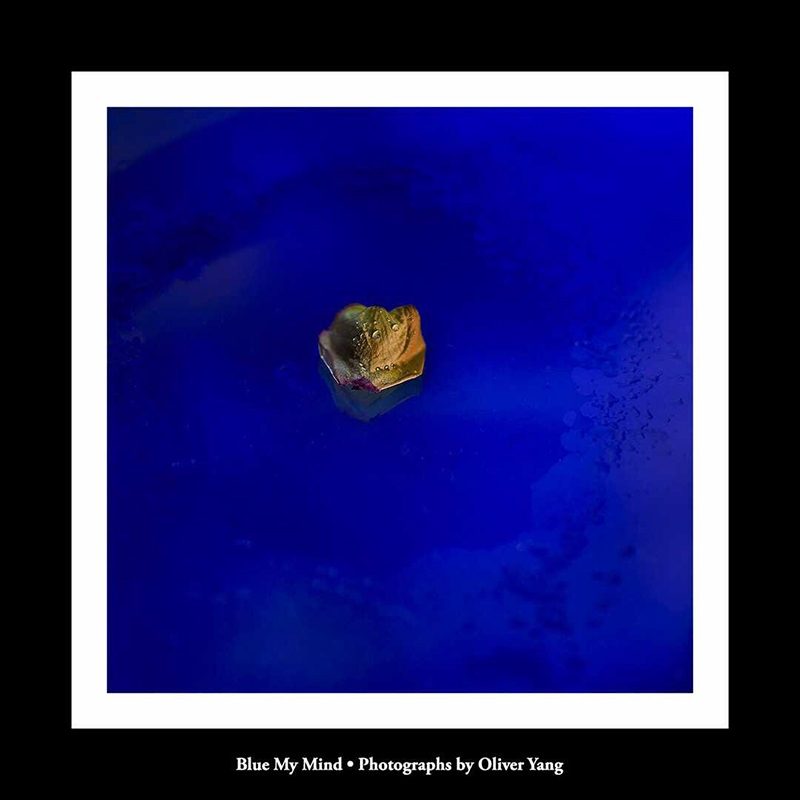 ��ʮ�ֲ�ͷʫ���Ѿ���˹��