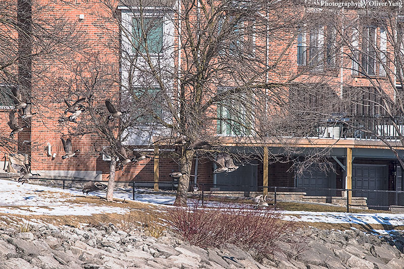 ������ɼ��ع�