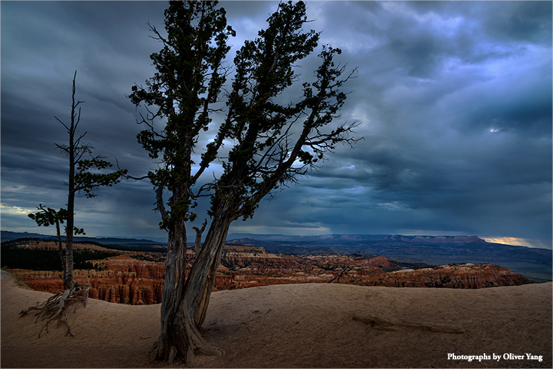 临江仙·藏头（往事如看镜，浮生独倚岩—徐霞客语）