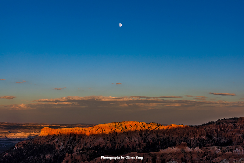 风入松·藏头（人生若有不快活，只是未读苏东坡—黄和明兄语）