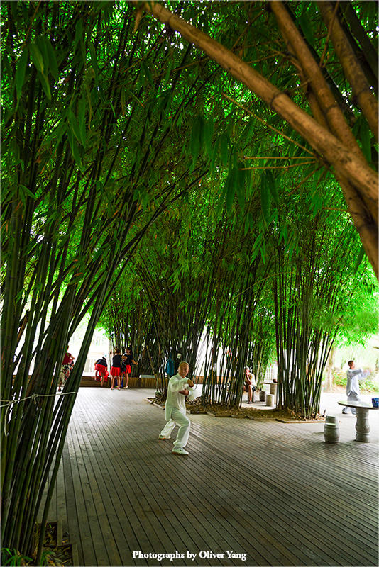 �����Ρ���ͷ����®���˾������޳���������Ԩ��ʫ�䣩