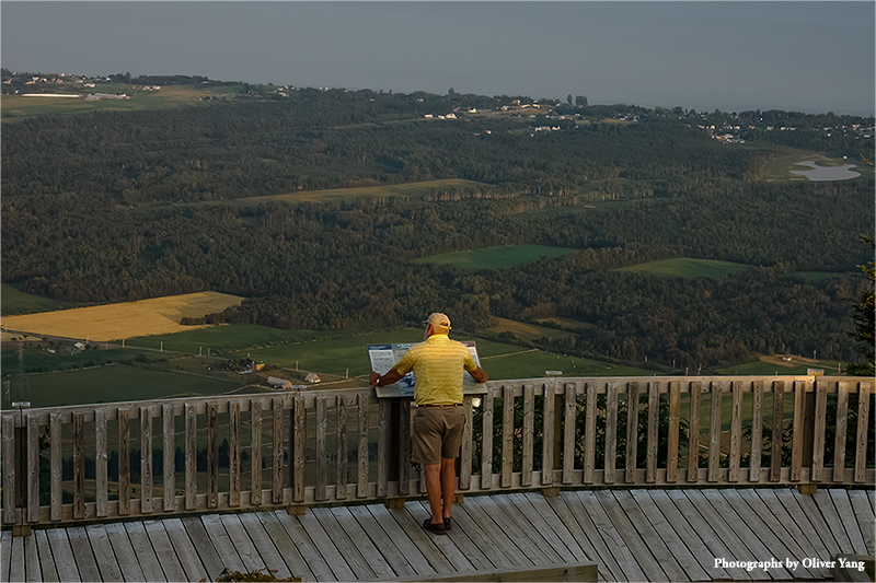 醉太平·藏头（青山不老，人生苦短—周锋兄语）