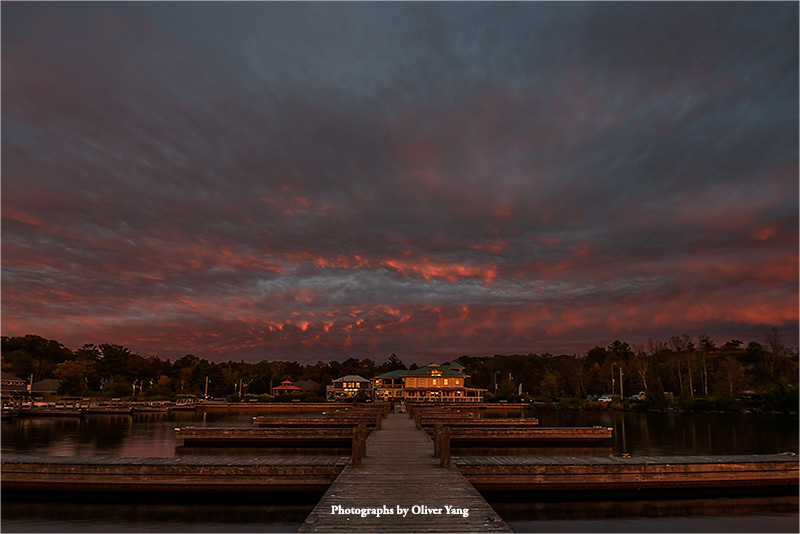 忆王孙·藏头（不觉秋已深）