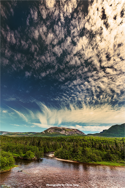 渔歌子·藏头（夏云多奇峰 - 怀素语）