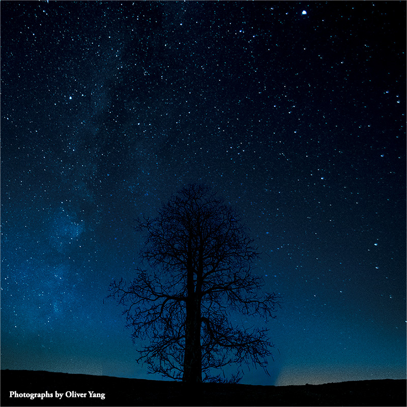 Ӣ�Ĳ�ͷʫ �� Imagine(Լ������ٯ��������