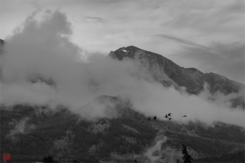 ٽɡͷĽӰһ̾ -- ½ʫ䣩