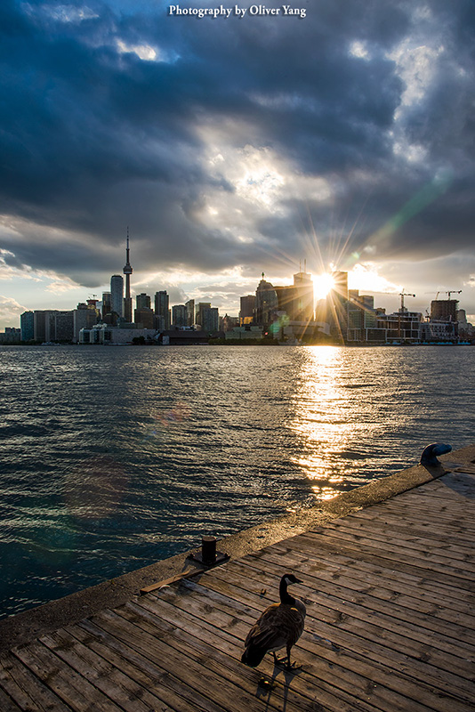 ���ʹº���δ�