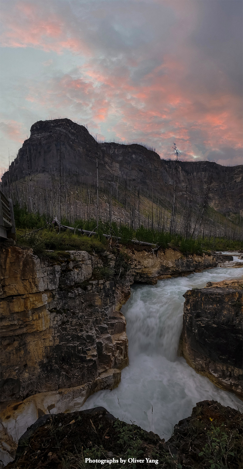少年游·藏头（眼泪之路始于这片山林 - 胡健同学文题）