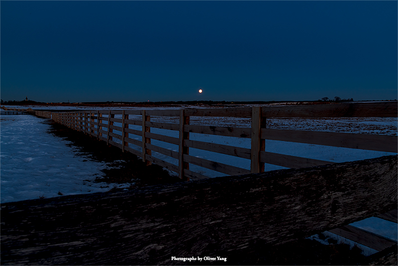 忆王孙·藏头（上元节吉祥）