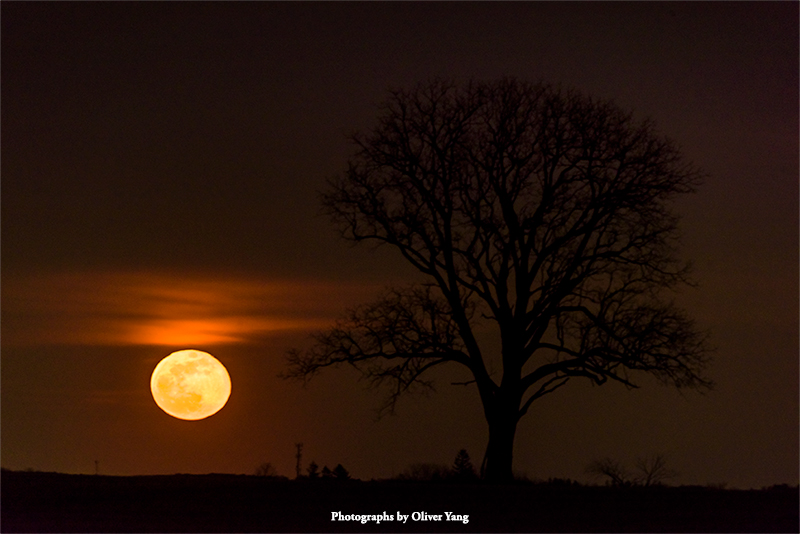 �������ͷ���Ѿ����£�