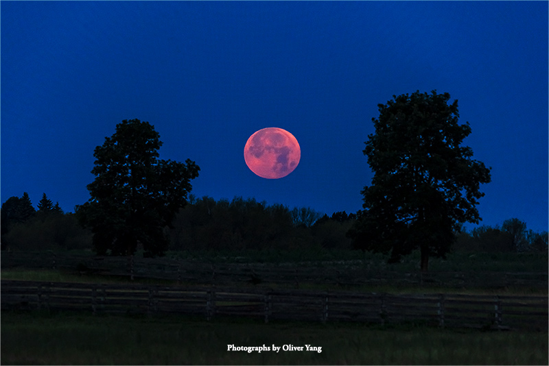 浪淘沙·藏头（岁月深处）