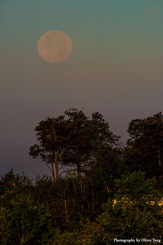 ��������Բ