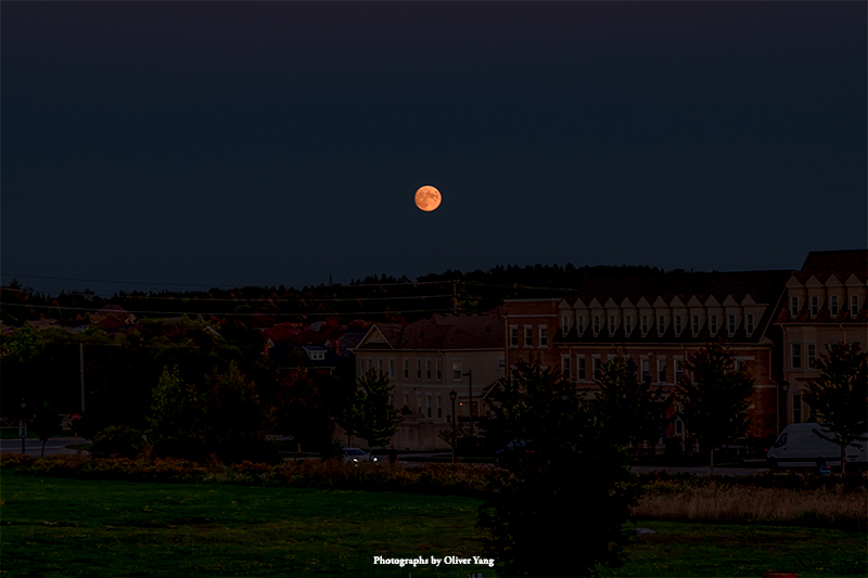 采桑子·藏头（举杯对月，聊慰乡思 - 周锋兄语）