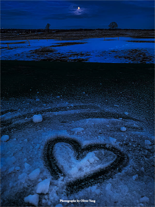 相见欢·藏头（这一年，不说再见）