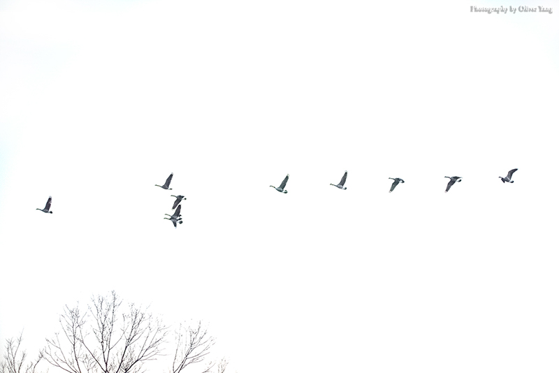 ����һ��д����