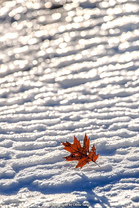 һ��һ����һҶһ����