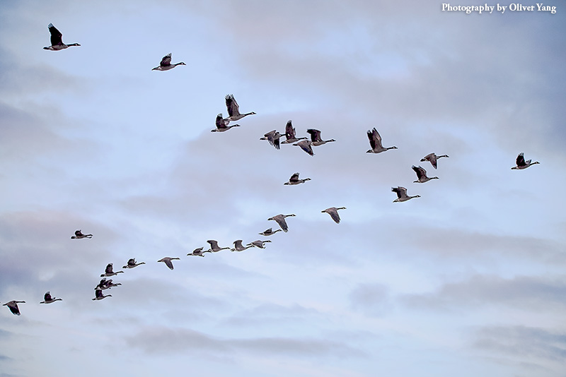 һ���� �� ��