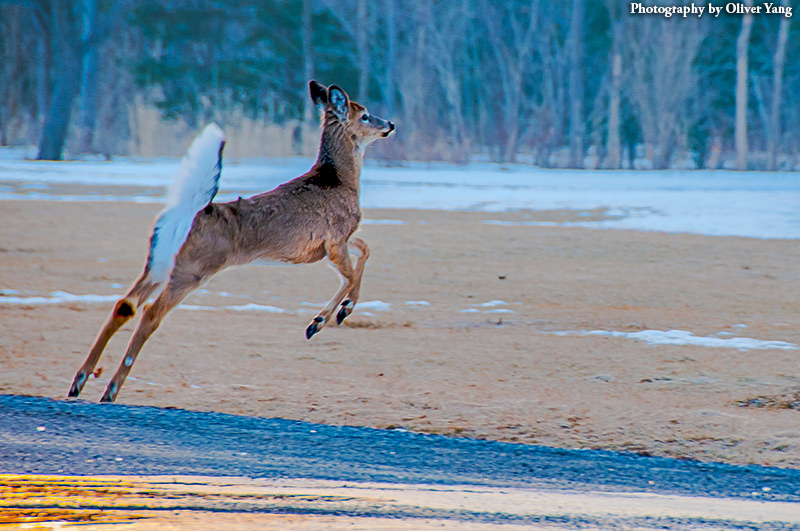 �˽��� �� ����