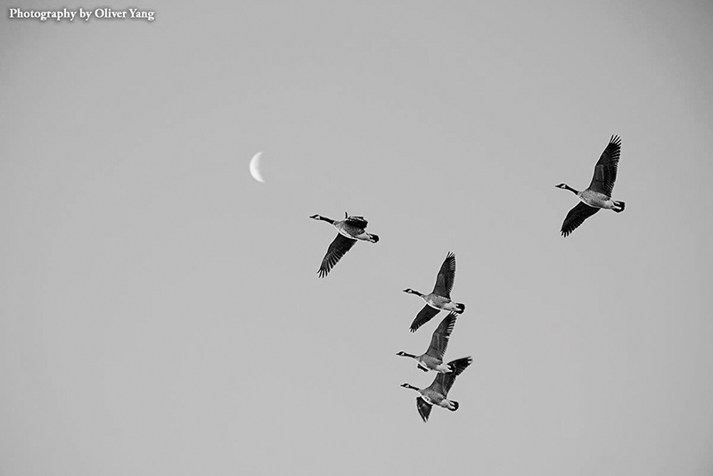 ���ض� �� ����ԭ