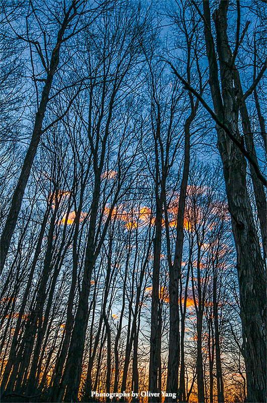 ������ �� ��ͷ