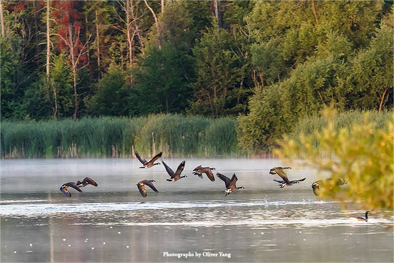 十六字令·藏头（今天立秋）