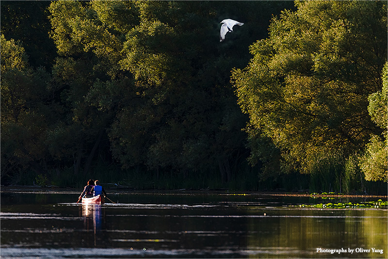 眼儿媚·藏头（云天收夏色，木叶动秋声 - 唐·刘言史《立秋》诗句）