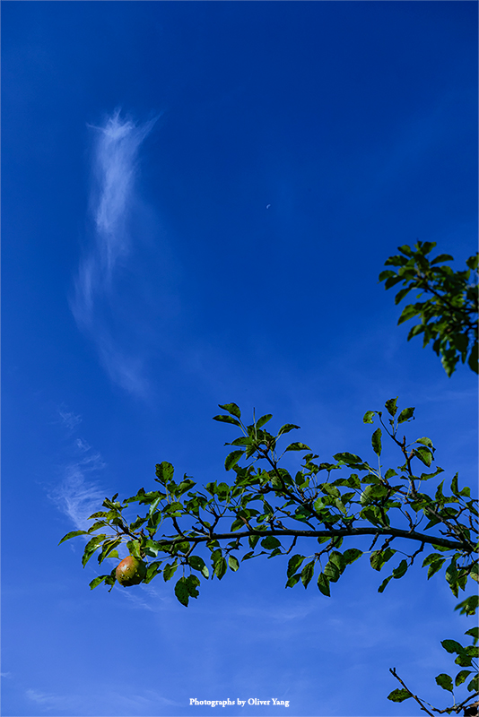 忆江南·藏头（如果云知道 - 歌曲名）