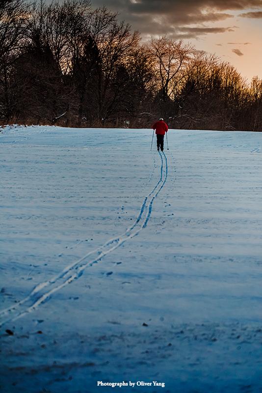 相见欢·藏头（千年一遇对称日20211202）
