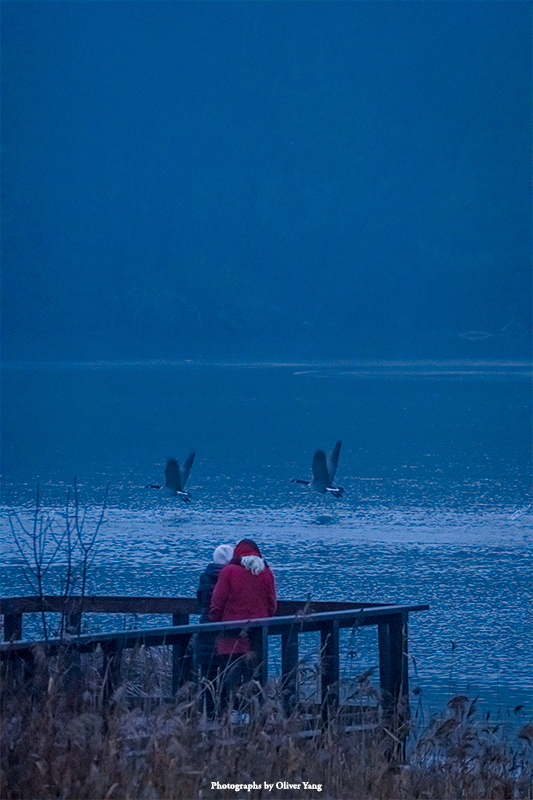 少年游·藏头（风景依然在，人已非少年 - 墨轩语）