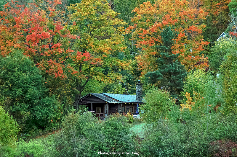 忆江南·藏头（幽人山中屋—周锋兄语）