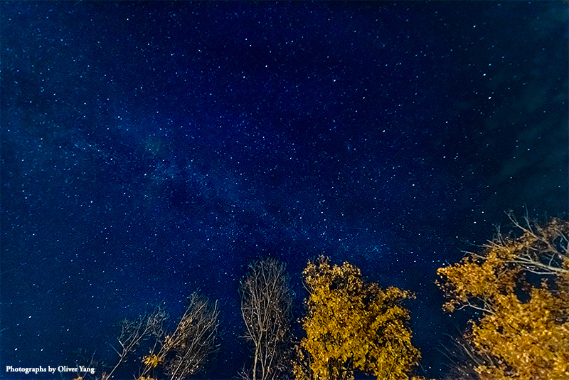 苏幕遮·藏头（星光不问赶路人，时光不负有心人）