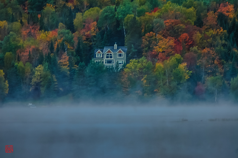 鹊桥仙·藏头（梦里孤山醉倒，问梅我醉如何 - 丁天缺先生词句）