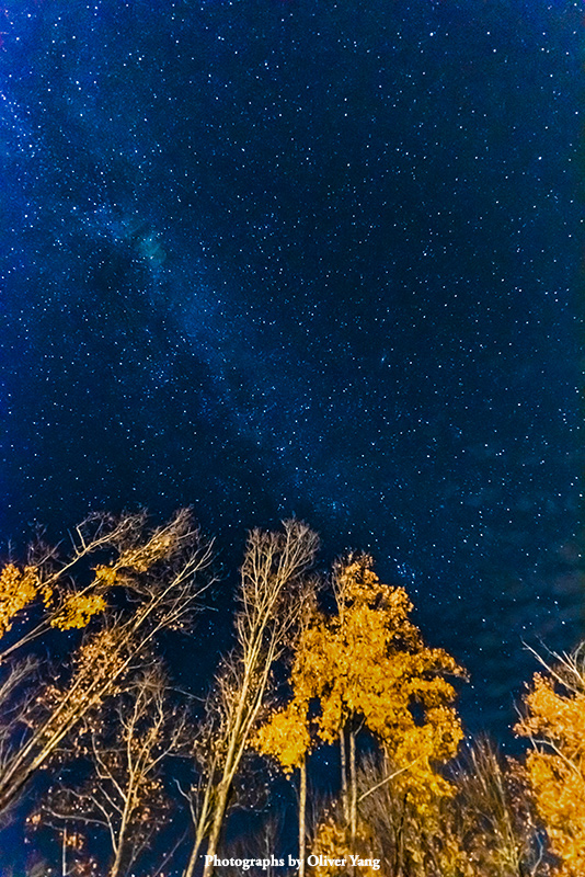 千秋岁引·藏头（还没好好享受盛夏，秋叶就已飘满地了 - 焦安兄语）