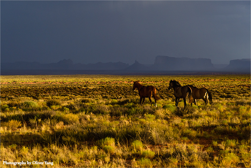 An acrostic poem for Kenny