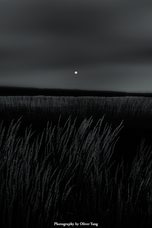 ������ �� ��¶