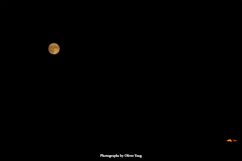 画堂春·藏头（落叶知秋，情谊如酒）