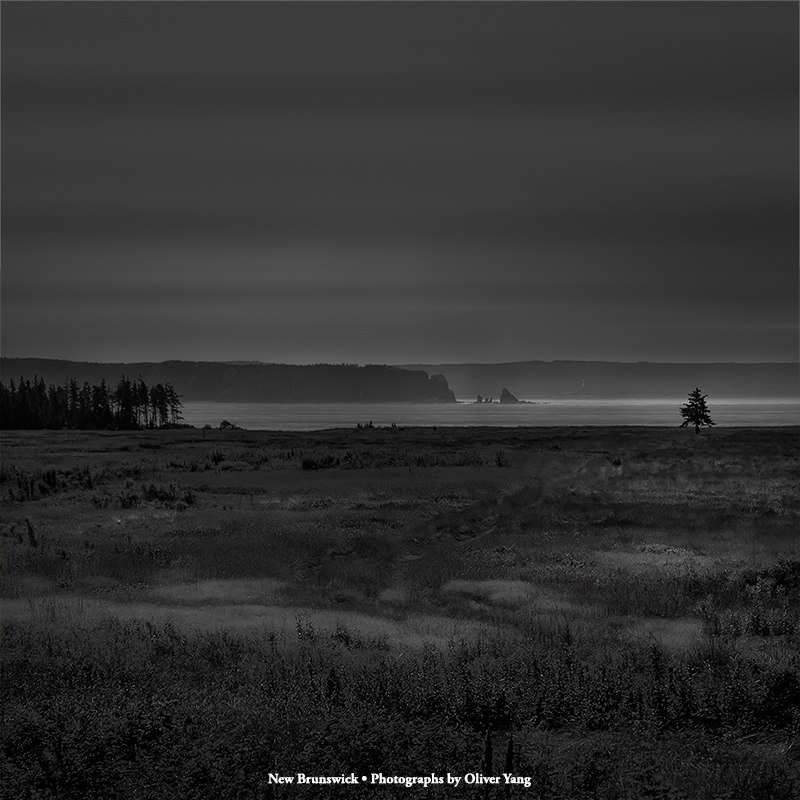 相见欢·藏头（天若有情天亦老—李贺诗句）