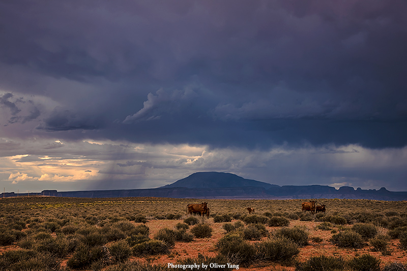 ���ĺɫţ����