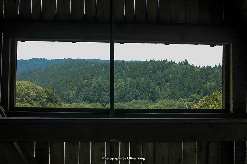 点绛唇·廊桥寻梦