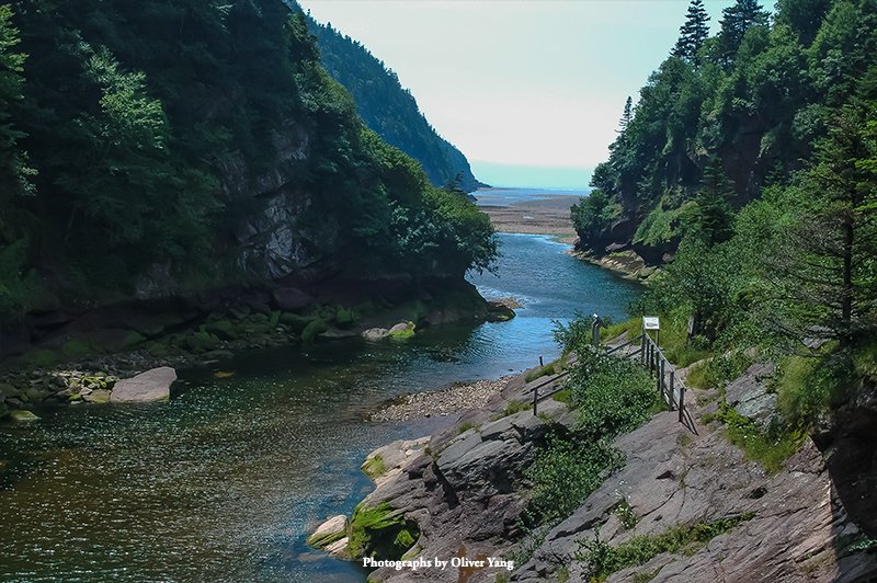 点绛唇·廊桥寻梦