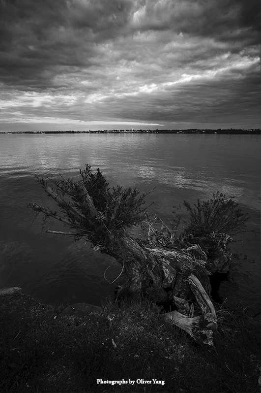 浪淘沙·藏头（今日夏至）