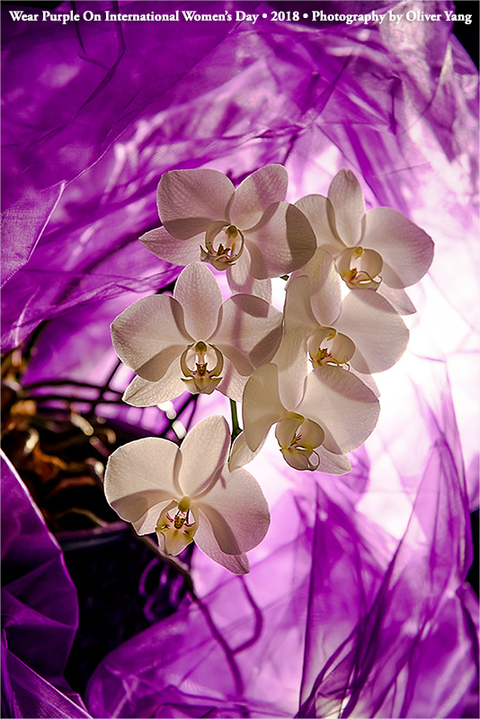 ���˽ڿ���