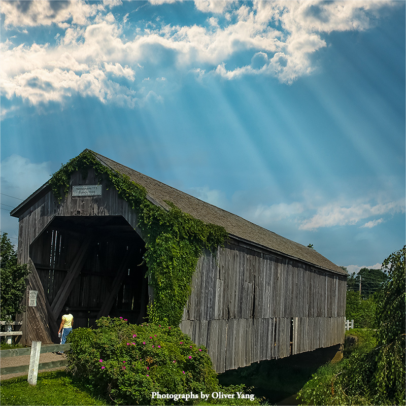 点绛唇·廊桥寻梦