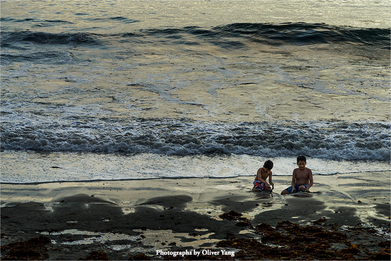 ��Ҷ������ͷ����ɳ�����治�ᡪ�����