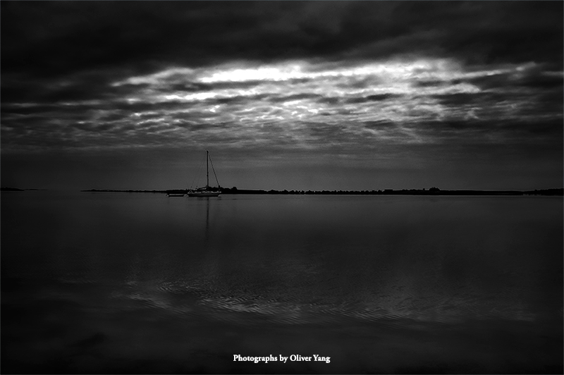 采桑子·藏头（随兴而至，随雨而安—赵月梁兄语）