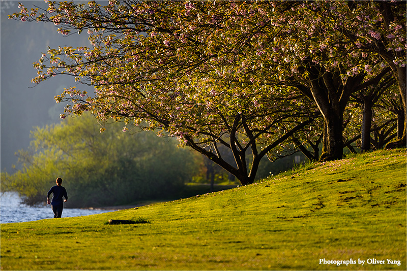 ���ô�����ͷ���泯�󺣣���ů���� - ����ʫ�䣩