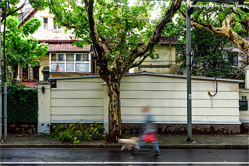 ףӢ̨�� �� ���ոл�